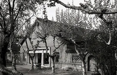 第二张.webp_副本