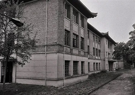 第三张.webp_副本